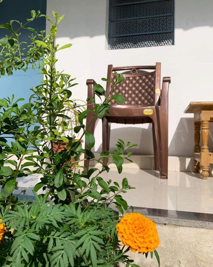 Il Padrino Hotel Pushkar Exteriör bild